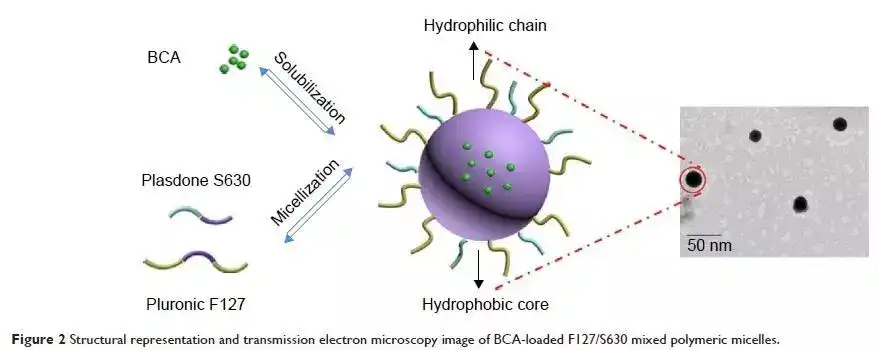 Biochanin A Supplier.jpg